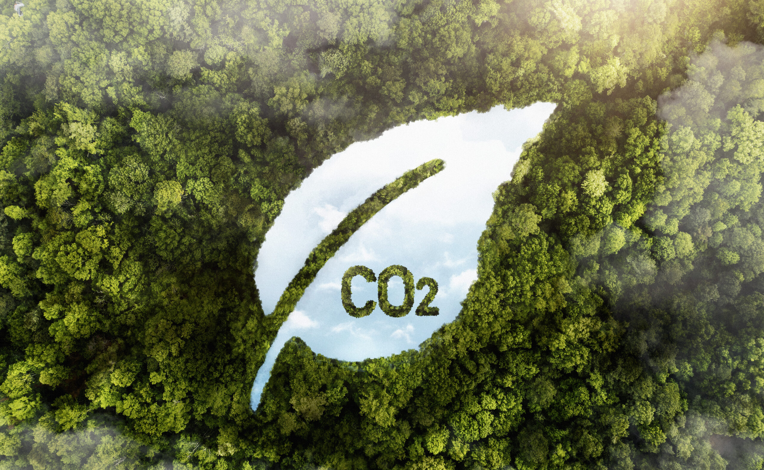 Une forêt verdoyante vue de dessus avec en incrustation, une feuille dans laquelle est inscrit CO2